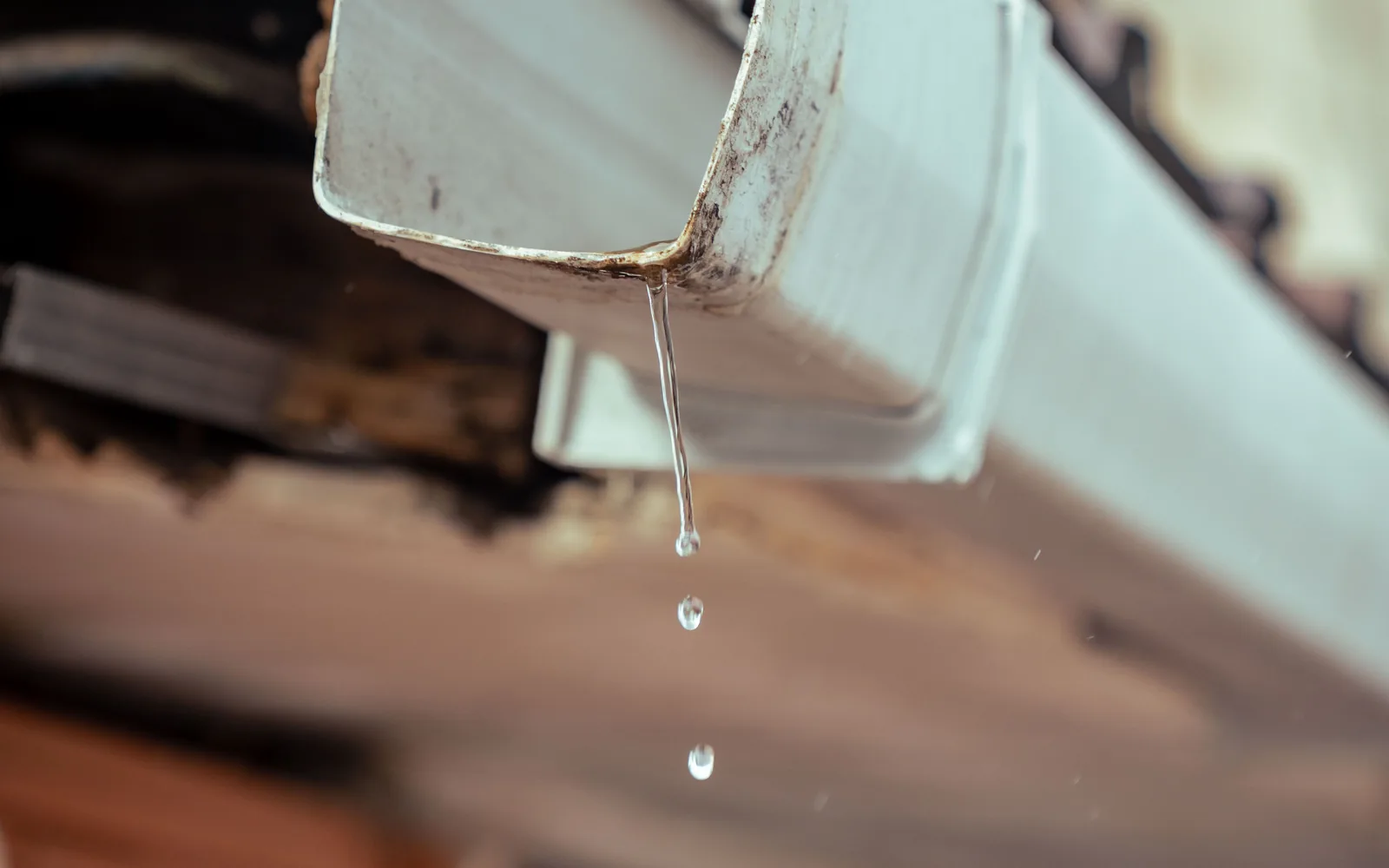 Rainwater dripping from the end of a residential roof gutter.